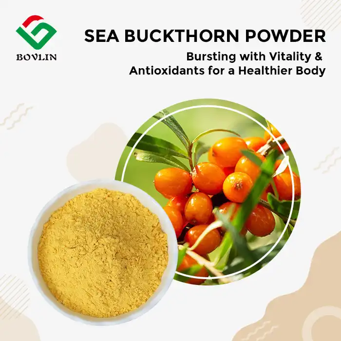 Sea Buckthorn Fruit Powder